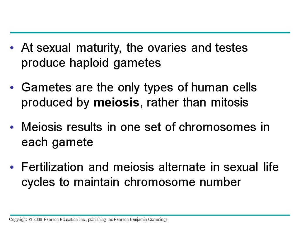 At sexual maturity, the ovaries and testes produce haploid gametes Gametes are the only